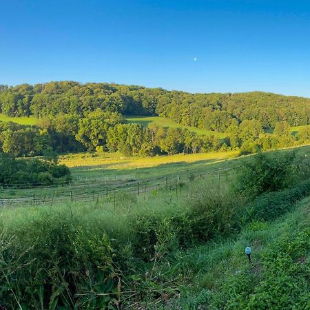 Bauernhof Fuer Naturliebhaber Bucha  エクステリア 写真