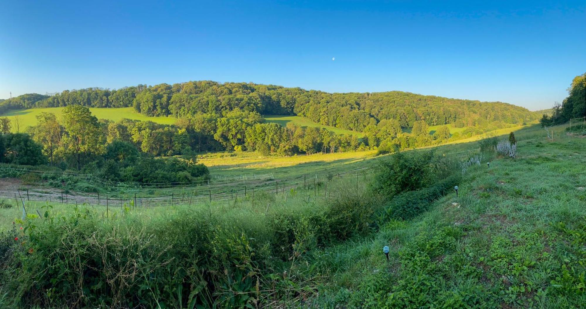 Bauernhof Fuer Naturliebhaber Bucha  エクステリア 写真